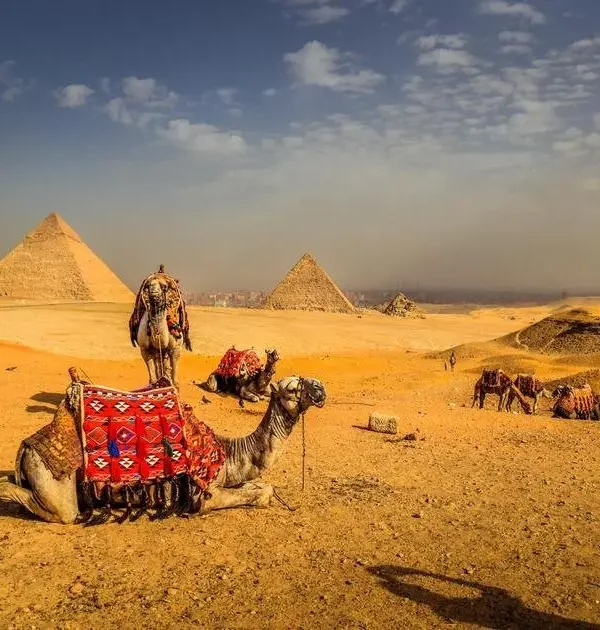 Best Egypt Private Tour Companies