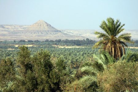 Bahariya Oasis