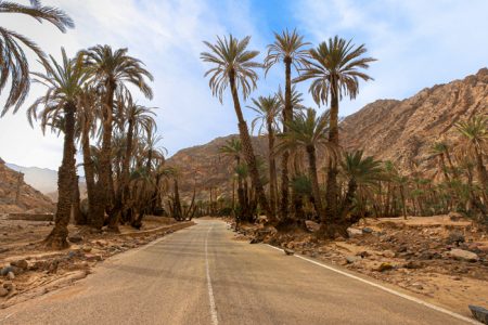 Sinai Peninsula