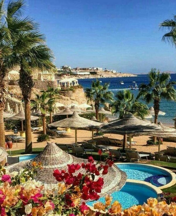 holidays to sharm el sheikh egypt