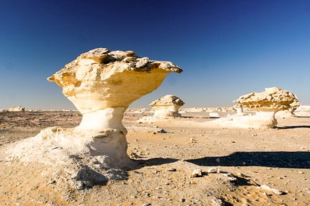 A white desert oasis.