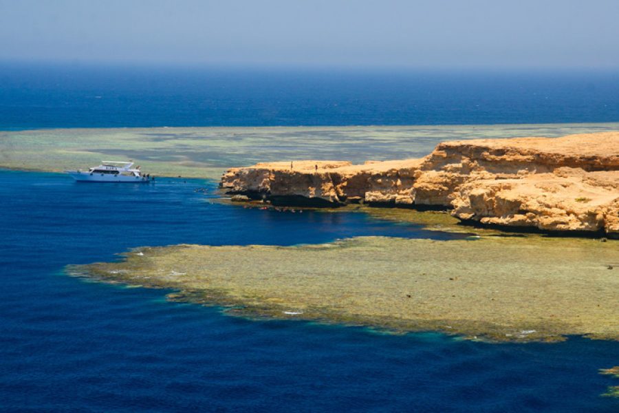 Ras Mohamed Snorkeling Trip