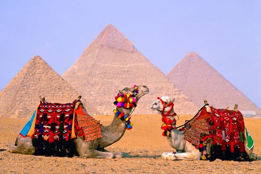 6 Days Cairo, Alexandria & Luxor Tour