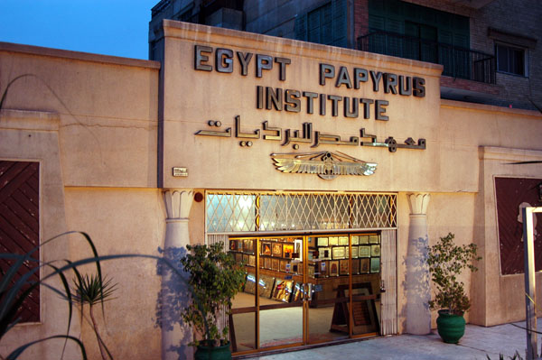 the Papyrus Institute