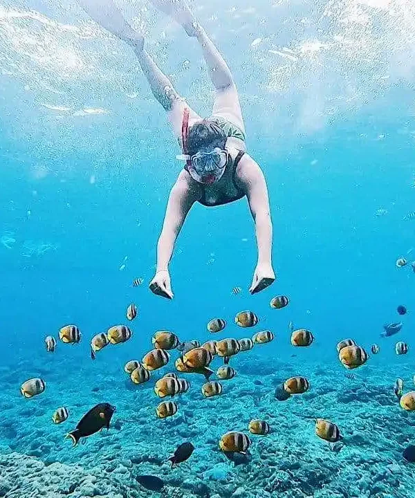 port safaga snorkeling