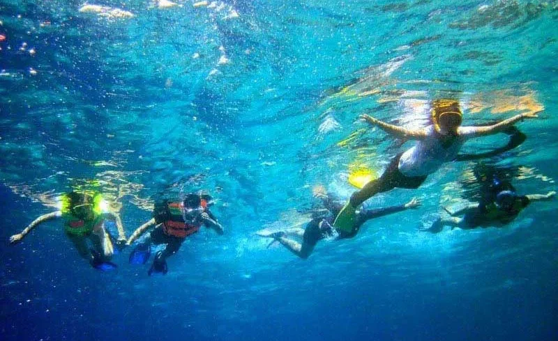 port safaga snorkeling