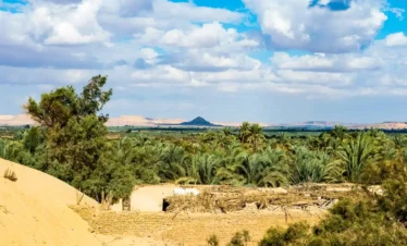 3 Days White Desert Tour