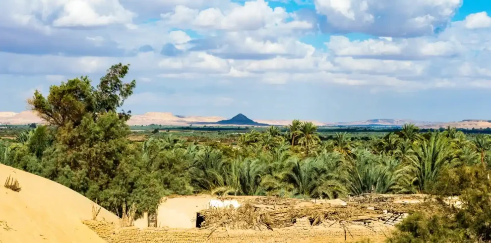 3 Days White Desert Tour