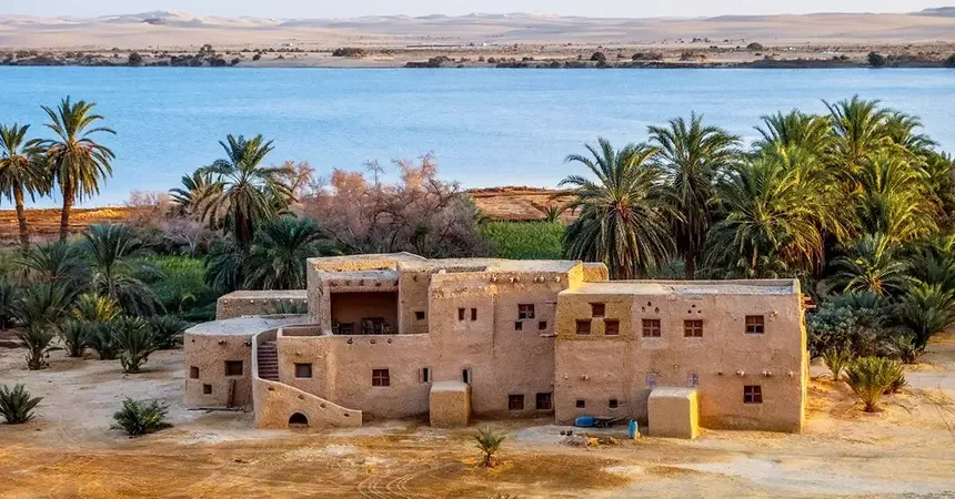 Discover the Magic of Egypt: Siwa Oasis and White Desert Tour