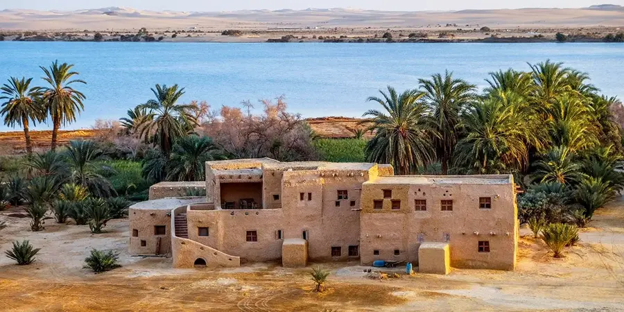 Siwa Oasis and White Desert Tour