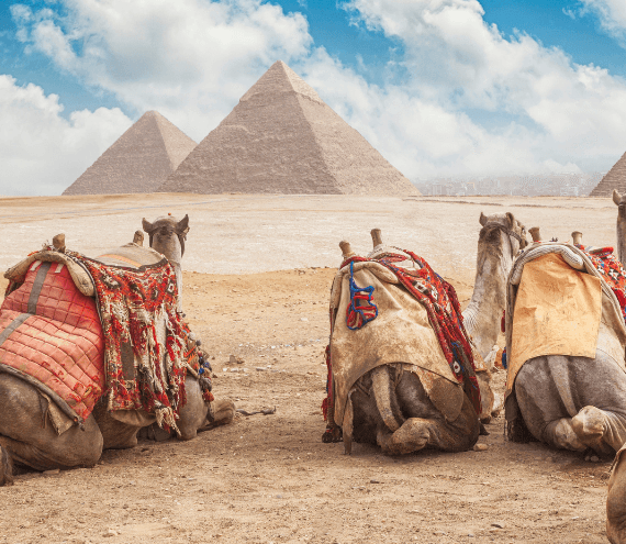 Egypt Budget Tours
