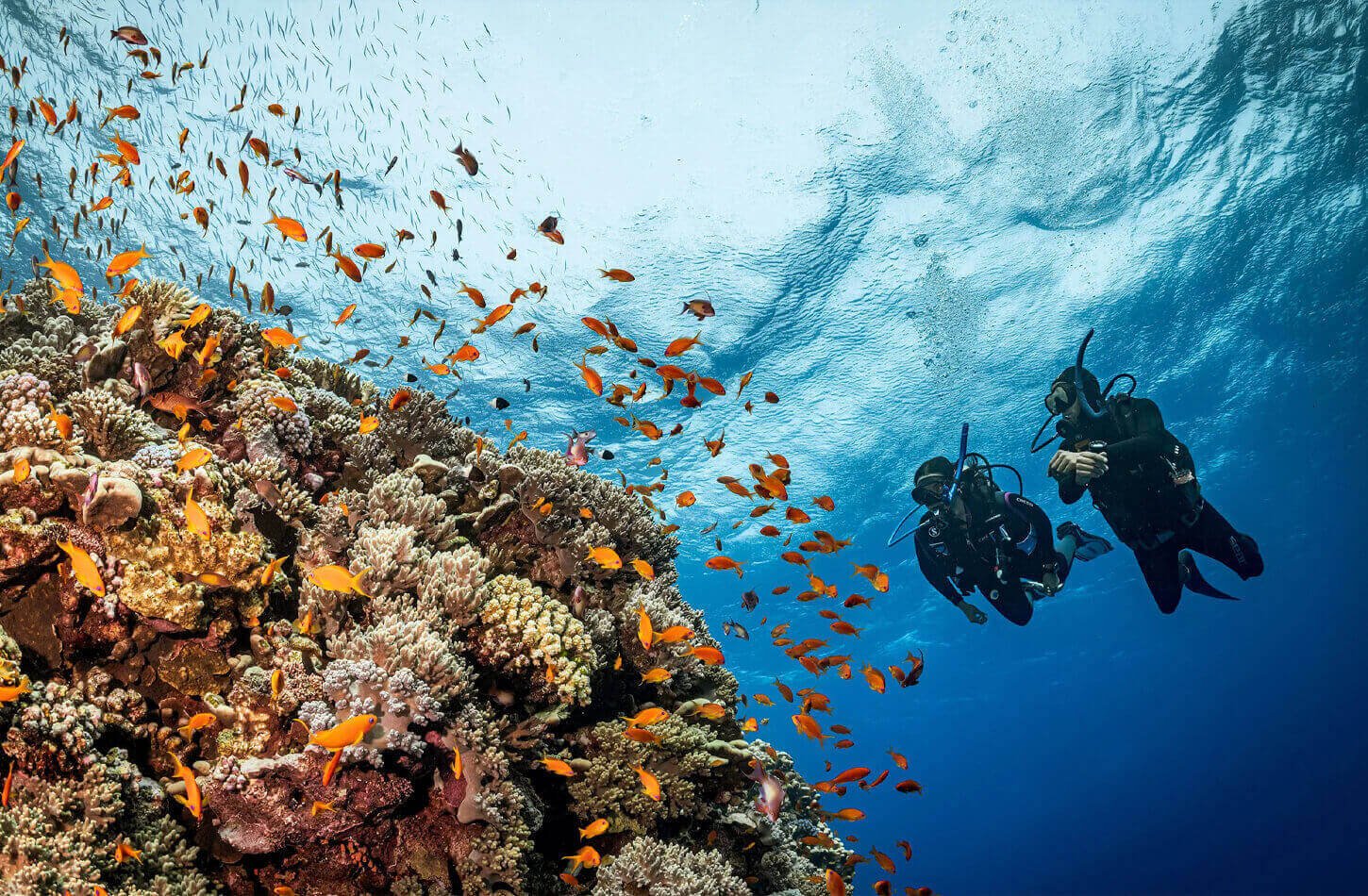 How to Plan Your Trip to Egypt